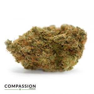 Granddaddy Purple