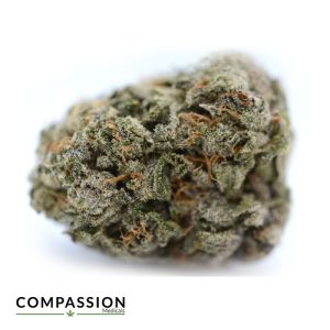 Kosher Kush