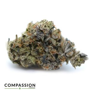 Flavour Burst (Bakers Dozen x Gas Nani)