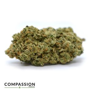 Planet of the Grapes