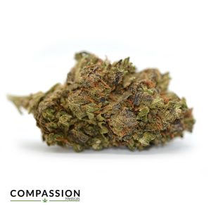 Purple Punch