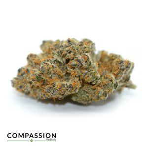 FX3 (Fire Flame Fuego)