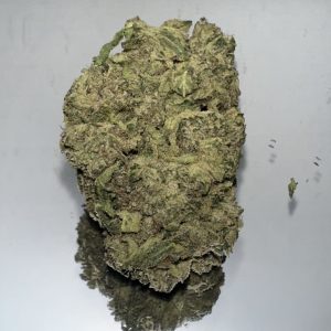 Jack Herer {26% THC}