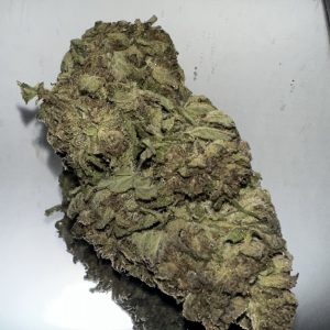 Black Cherry {26% THC}