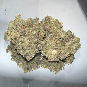 GG4