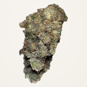 MK Ultra