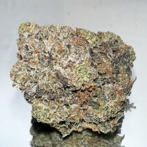 Pink Rock Star