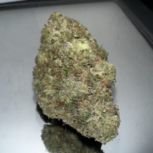 Purple Snow Corn